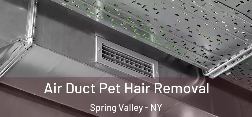  Air Duct Pet Hair Removal Spring Valley - NY