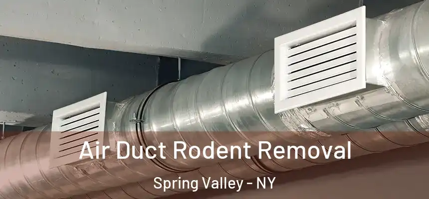  Air Duct Rodent Removal Spring Valley - NY