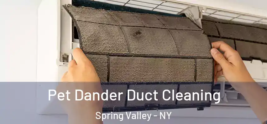  Pet Dander Duct Cleaning Spring Valley - NY