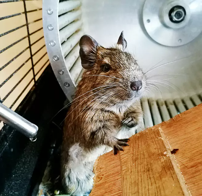 Why Homeowners & Businesses Trust Us Spring Valley, NY?